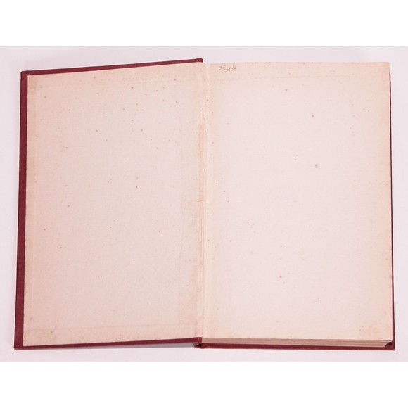 The Way That Wins: Principles of Pragmatic Psych, Biarne Castberg 1928 Rare HTF - Picture 7 of 11